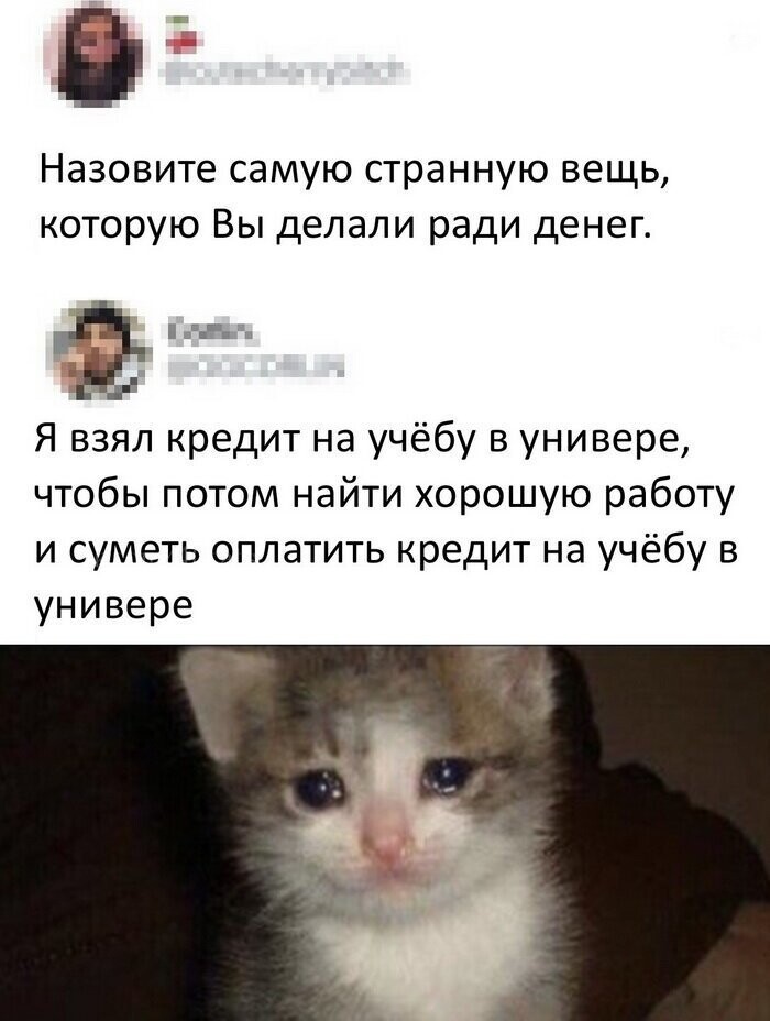 Скриншоты из социальных сетей