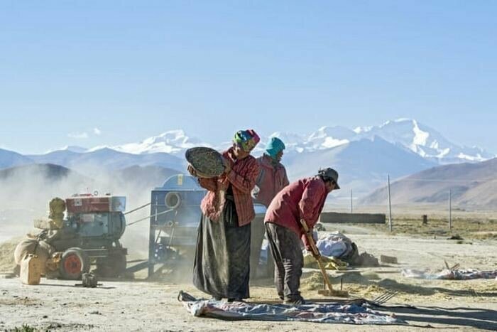 3. Тибетцы - потомки денисовских людей