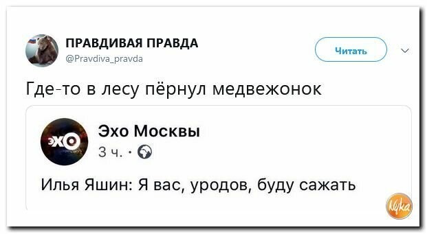 Политические картинки