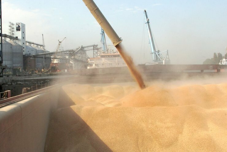 Россия экспортировала первую партию пшеницы нового урожая