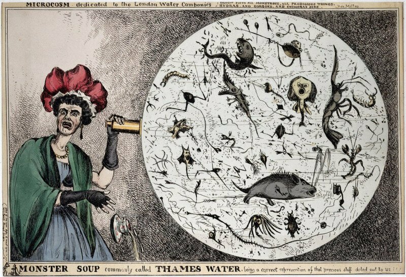 Женщина в ужасе отбрасывает чашку чая после того, как увидела воду под микроскопом, 1828