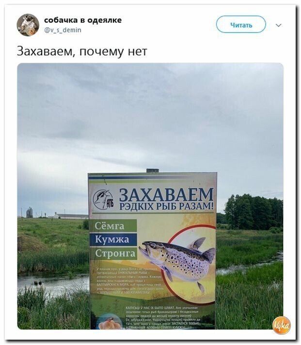 Политические картинки