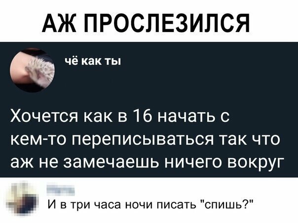 Прикольные и смешные картинки от Димон за 24 июня 2019