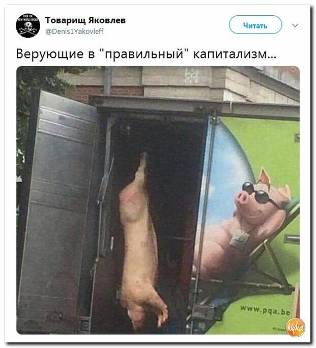 То ли смех, то ли слёзы