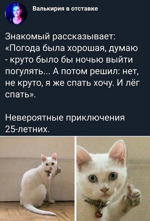 Прикольные и смешные картинки