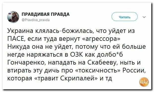 Политические картинки