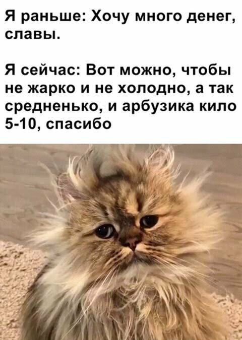 Прикольные и смешные картинки