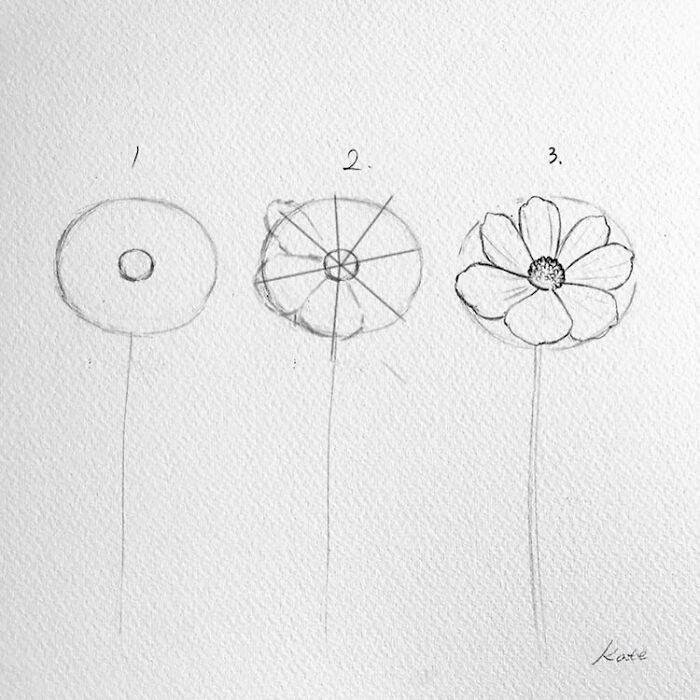 Корейская художница Кейт Кайюн Парк рассказывает своим подписчикам о том, как нарисовать любой цветок всего за 3 простых шага