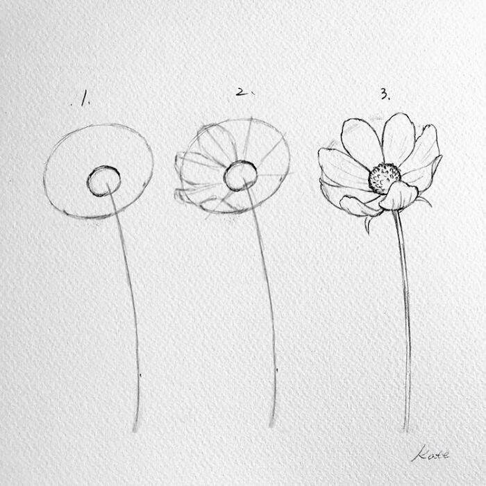 Корейская художница показала, как нарисовать идеальные цветы в 3 простых шага