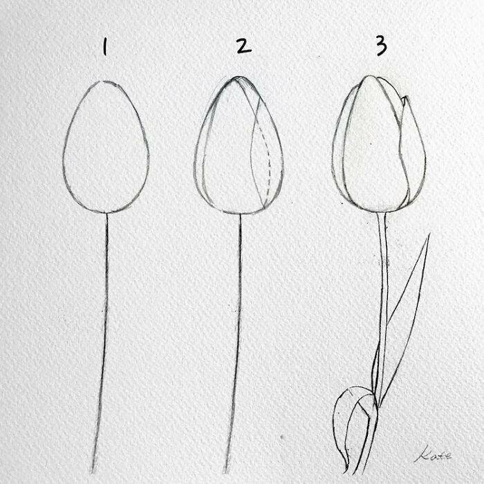 Корейская художница показала, как нарисовать идеальные цветы в 3 простых шага