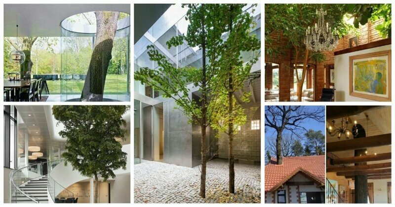 30 странных домов с деревьями: красота или маразм?