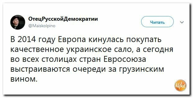 Политические картинки