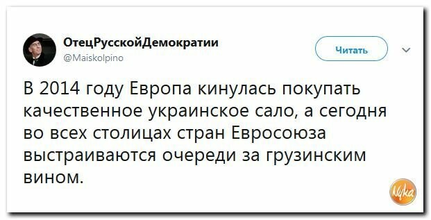 Политические картинки