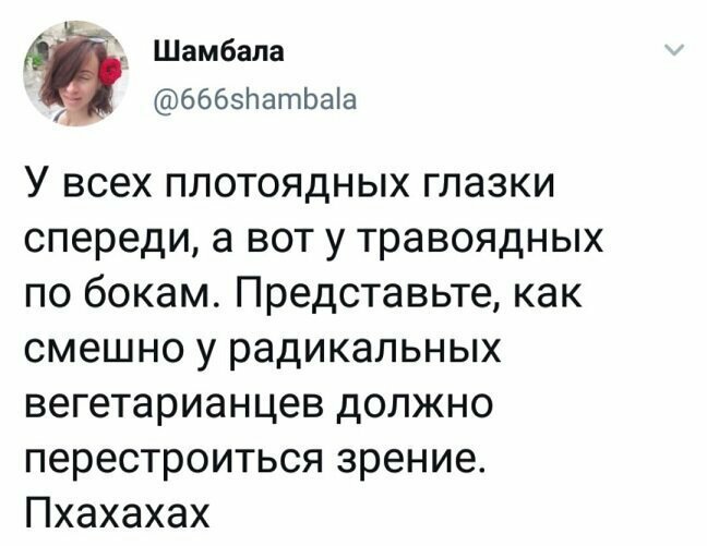 Прикольные и смешные картинки