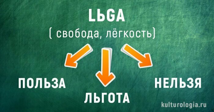 Что общего между невестой и ведьмой, быком и пчелой