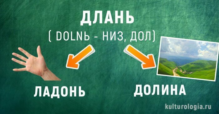 Что общего между невестой и ведьмой, быком и пчелой