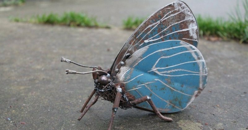 Железная бабочка