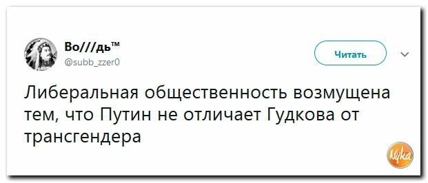 Политические картинки