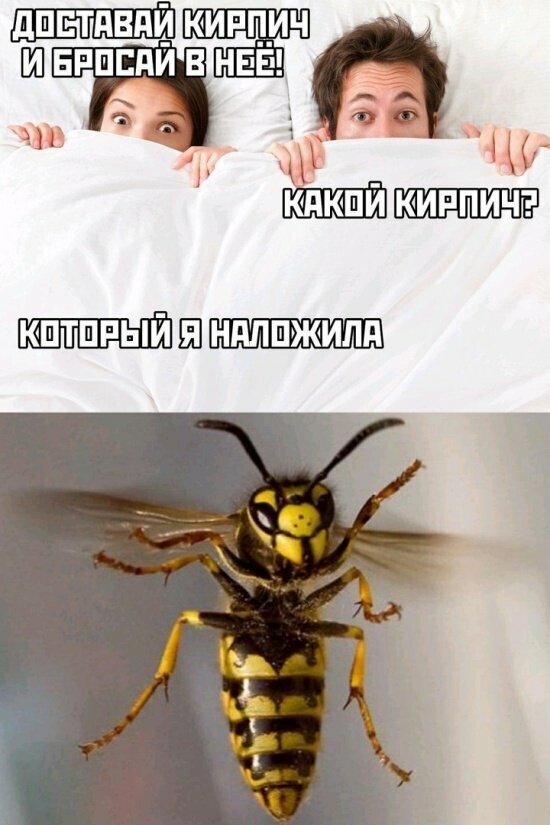 Намешалось