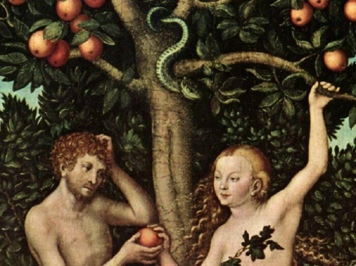 В Библии нет упоминания о яблоке, съеденном Адамом и Евой. В ней только упоминается плод с определенного дерева.