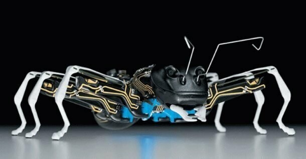 BionicANTS – робот-муравей