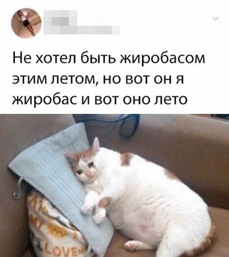 Прикольные и смешные картинки