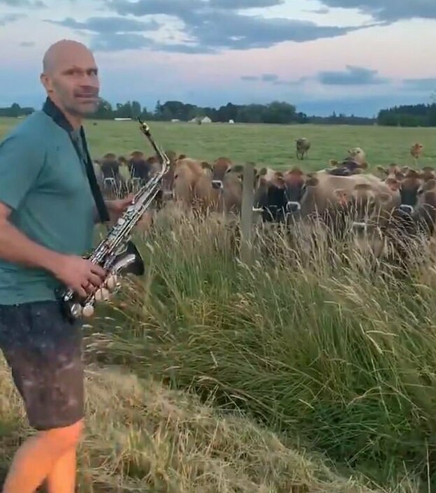 Рик Херманн сыграл на саксофоне для стада коров