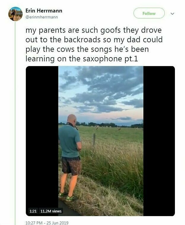 "Мои родители такие чудаки, они выехали на проселочную дорогу, чтобы мой отец мог сыграть коровам песни, которые он разучил на саксофоне",  подписала видео Эрин