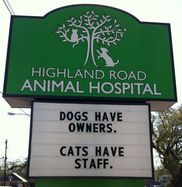 "У собак есть хозяева, у кошек - обслуживающий персонал"