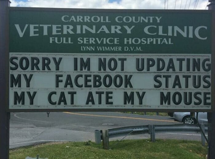 "Простите, не могу обновить мой статус в Facebook* - моя кошка съела мышку"