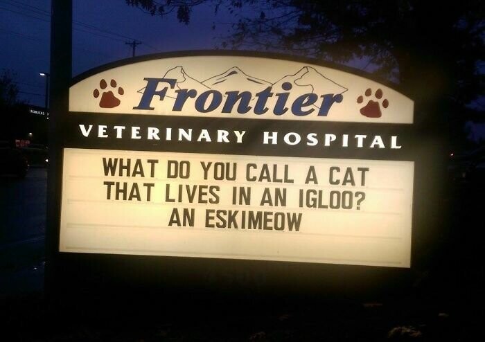"Как называется кошка, живущая в иглу? Эскимяус" 