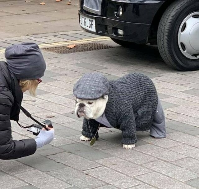 Намешалось