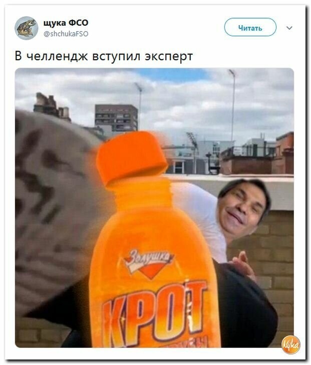 Политические картинки2