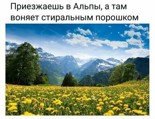 Картинки с надписями