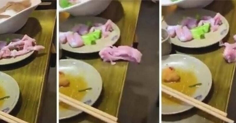 "Ой, а у вас мясо убежало!": кусок курицы сбежал с тарелки в ресторане, и это выглядит жутко