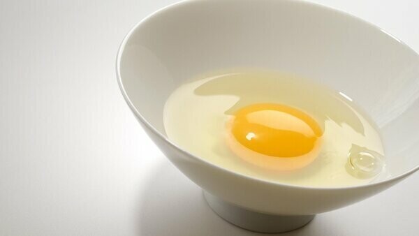 Что полезнее в яйце — белок или желток?