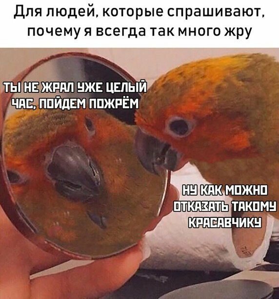 Прикольные и смешные картинки