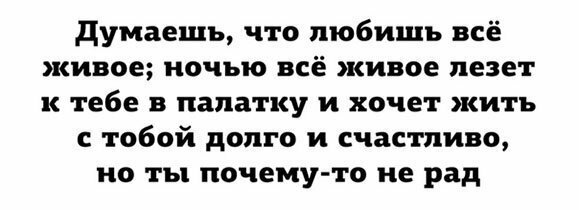 Прикольные и смешные картинки