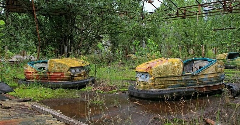 Почему растения Чернобыля не гибнут от рака