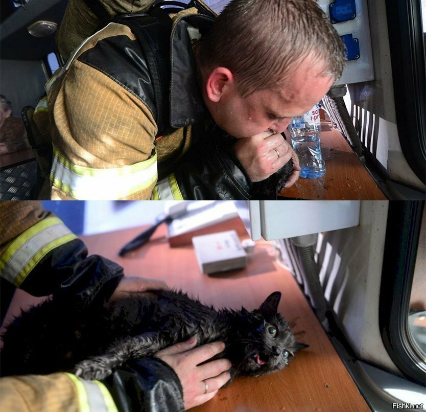Пожарные не только спасают имущество и наши жизни, но и жизни наших братьев м...