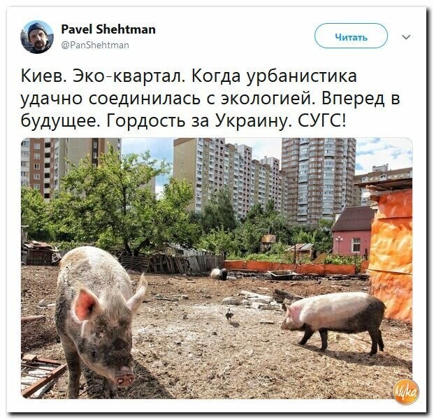 Политические картинки