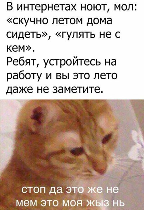 Прикольные и смешные картинки