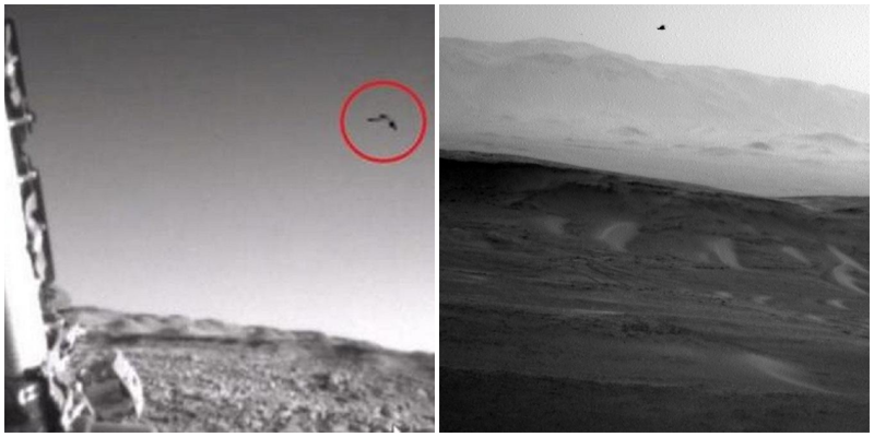 На Марсе заметили парящий объект, и уфологи тут же заявили, что это птица