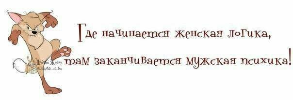 Народная мудрость о женской логике