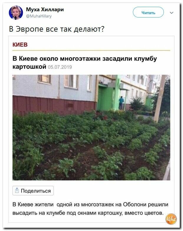 Политические картинки