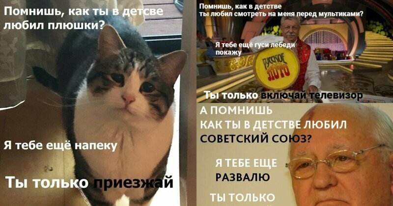 "Ты только приезжай!": картинка с толстым грустным котом стала мемом и идеей для фотожаб