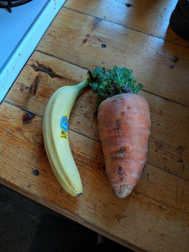 "Взгляните на морковку, которая выросла у меня в саду"