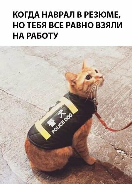 Намешалось