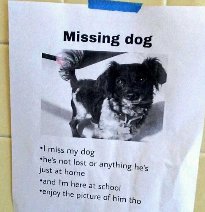 16. "Потеряна: я потеряна без своей собаки. Он не пропал, просто он дома, а я здесь, в школе. Смотрите, какой он красавец"