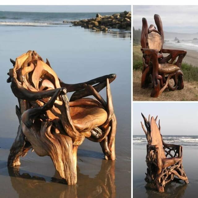Мастер создает захватывающие дух скульптуры из найденных на пляже сухих деревьев